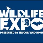 Wildlife Expo