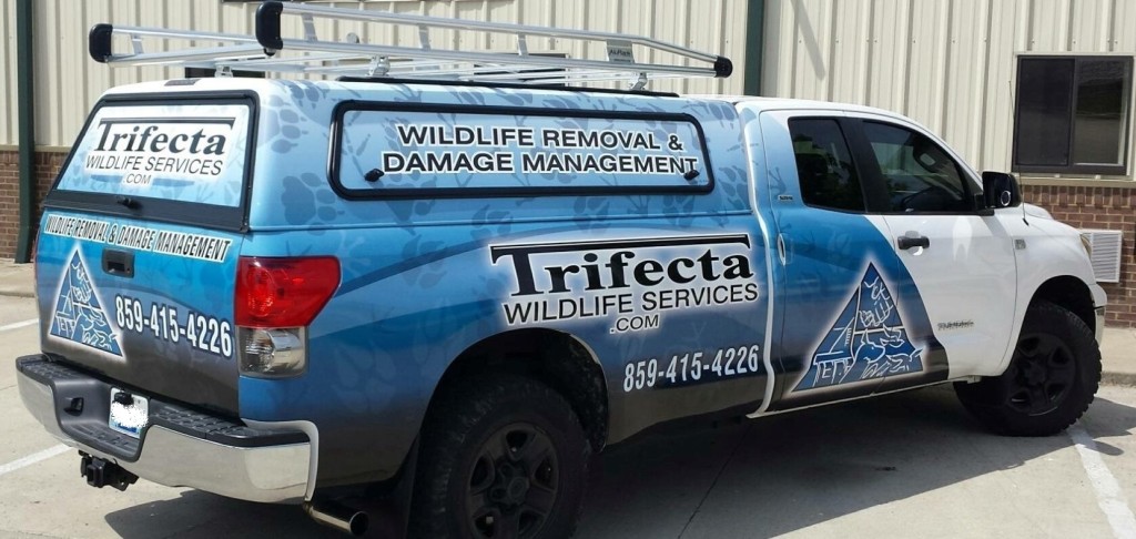 Trifecta Wildlife Services' Animal Removal and Wildlife Removal Truck in Lexington KY