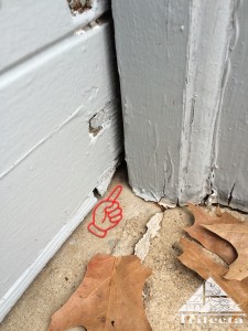 Unprotected garage door corners are a common mouse entry point