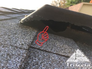 A static roof vent chewed by gray squirrels