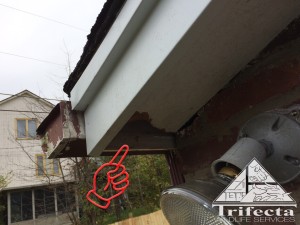 A hole made by gray squirrels through the soffit of a central KY home