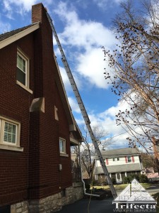 Lexington KY home where a raccoon had entered the chimney flue.