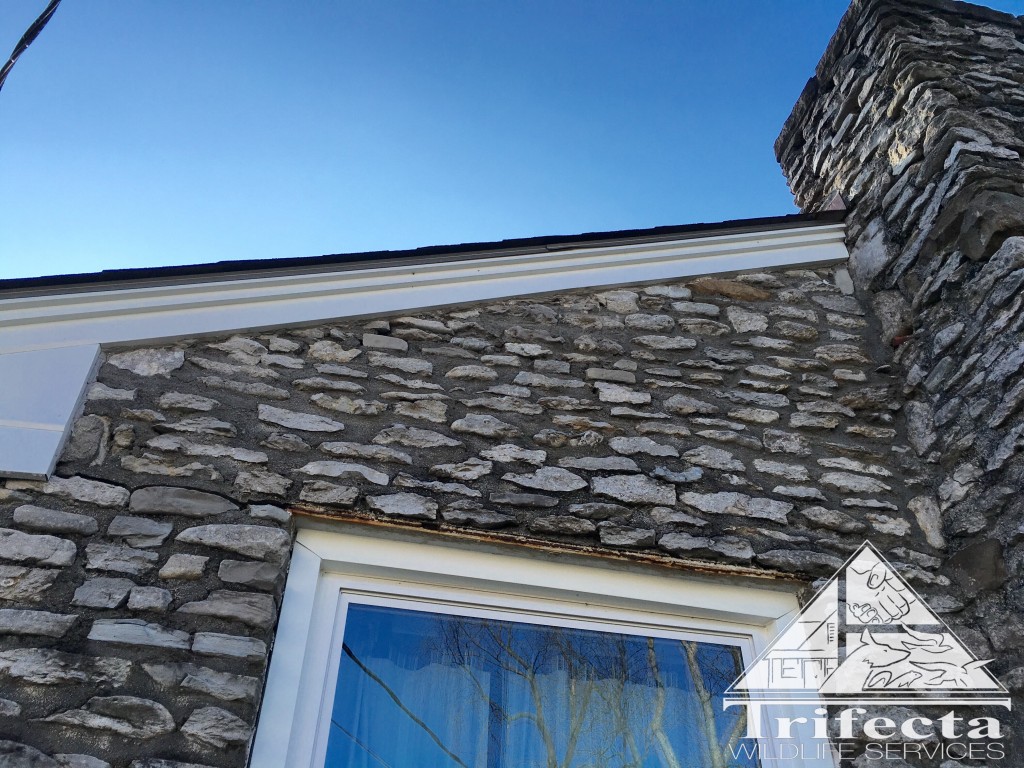 Construction gap between stone and fascia professionally sealed with limestone colored Solar Seal 900