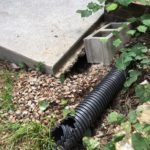 A groundhog burrow extending under the corner of a concrete patio