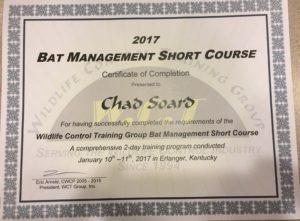 WCT Bat Management Short Course Certificate