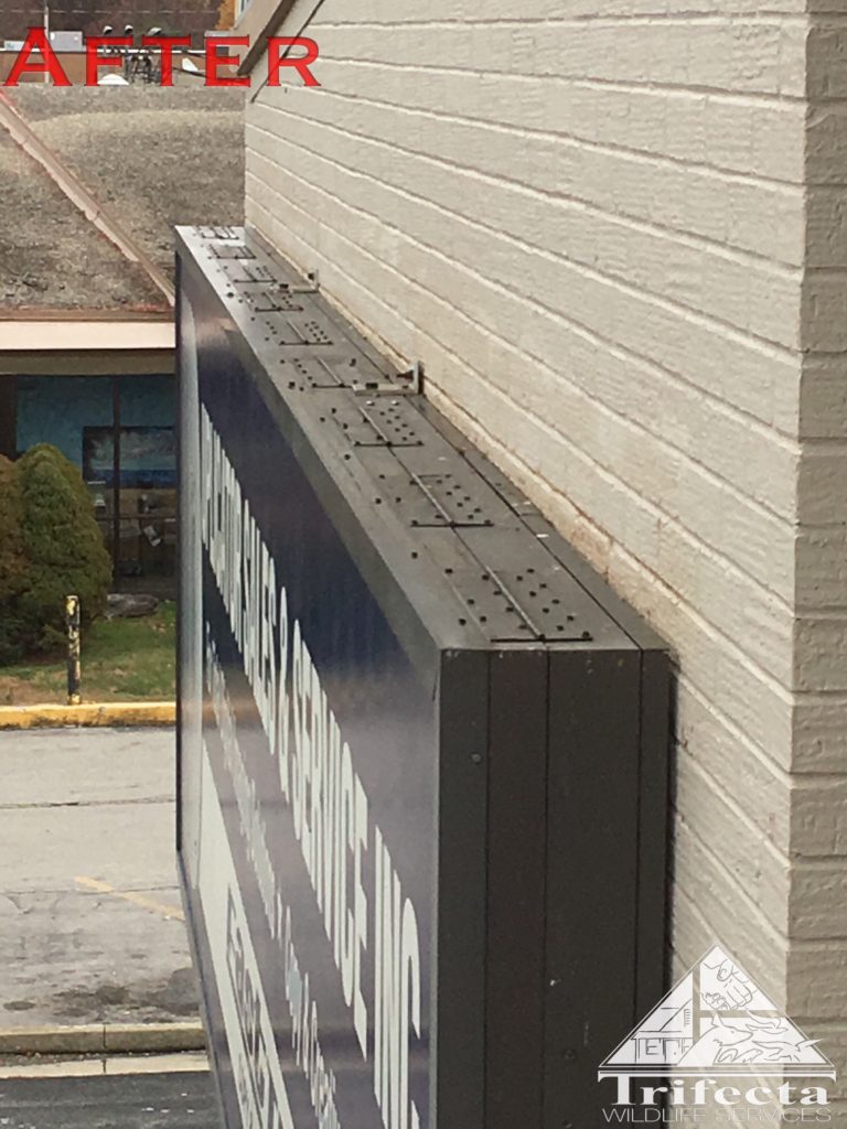 Storefront signage after cleanup of pigeon droppings