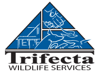 Trifecta Wildlife Services