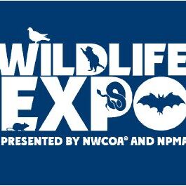 Wildlife-Expo-2015 Wildlife Expo
