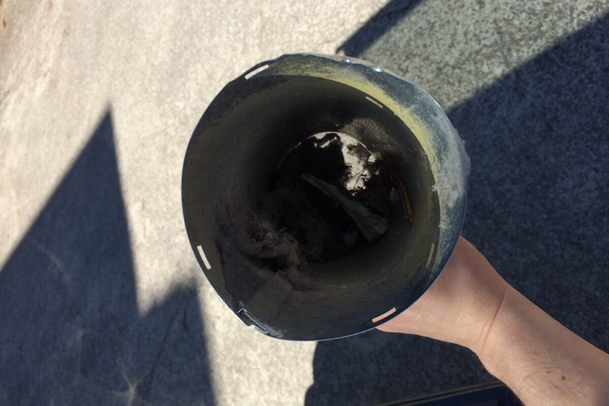 Lint buildup in window screened dryer vent to prevent bird entry