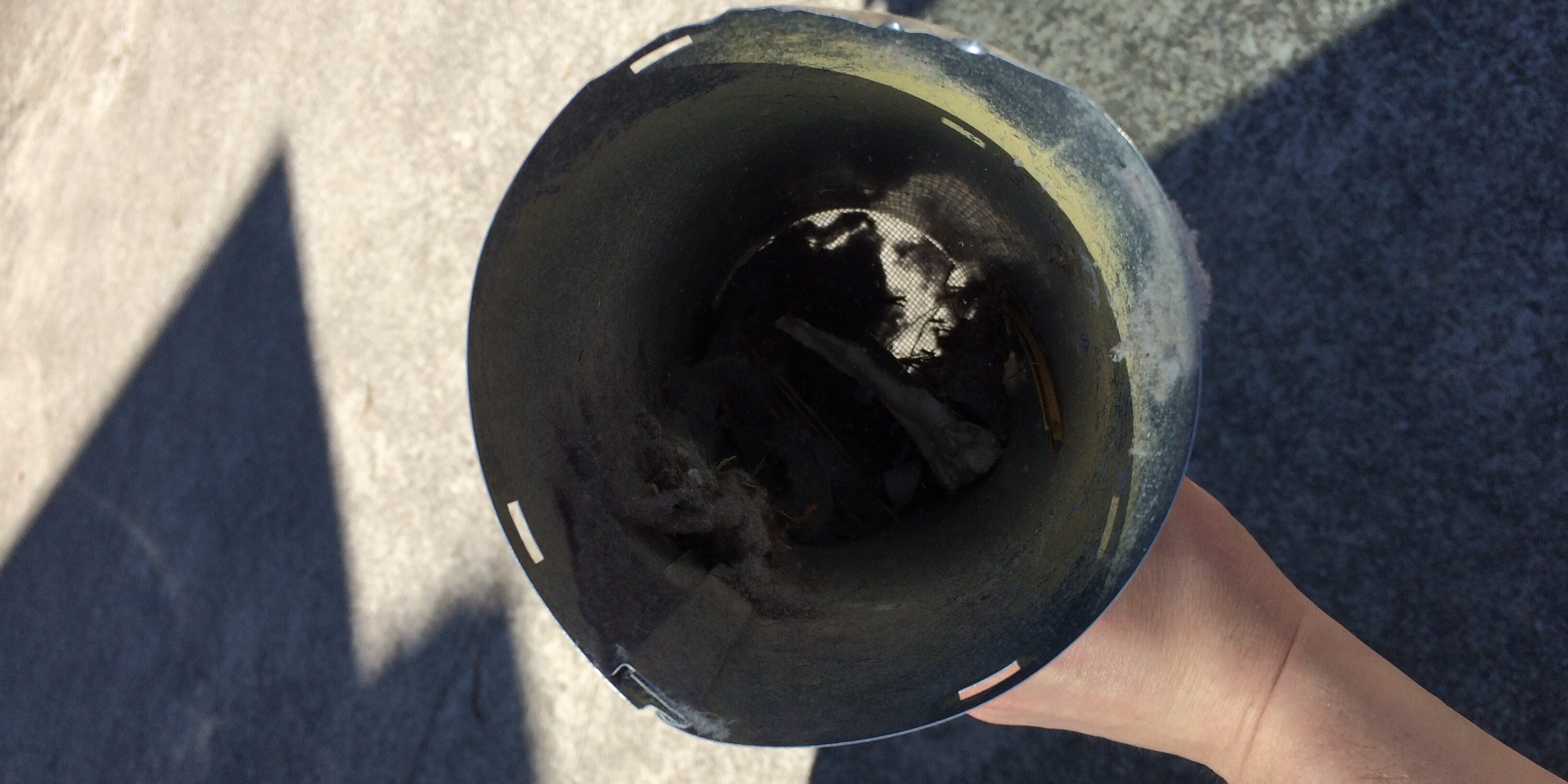 Internal view of window screen dryer vent Lint buildup in window screened dryer vent to prevent bird entry