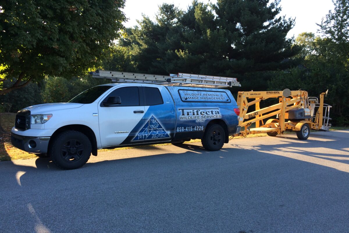 The Trifecta Wildlife Services truck towing an aerial lift