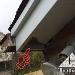 A hole made by gray squirrels through the soffit of a central KY home