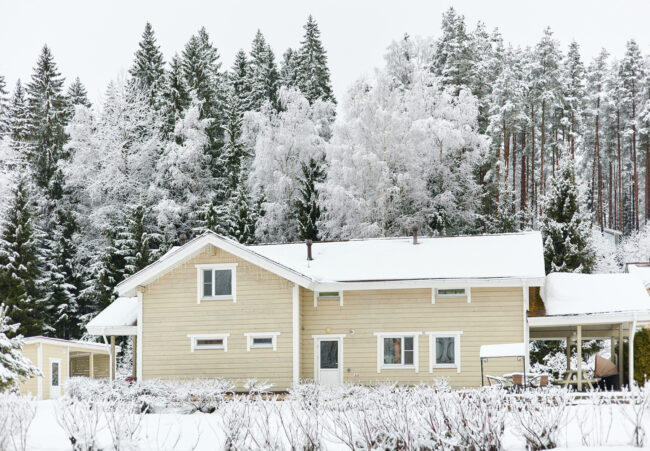 beautiful country house in a snowy pine forest, night lighting, winter fairy tale