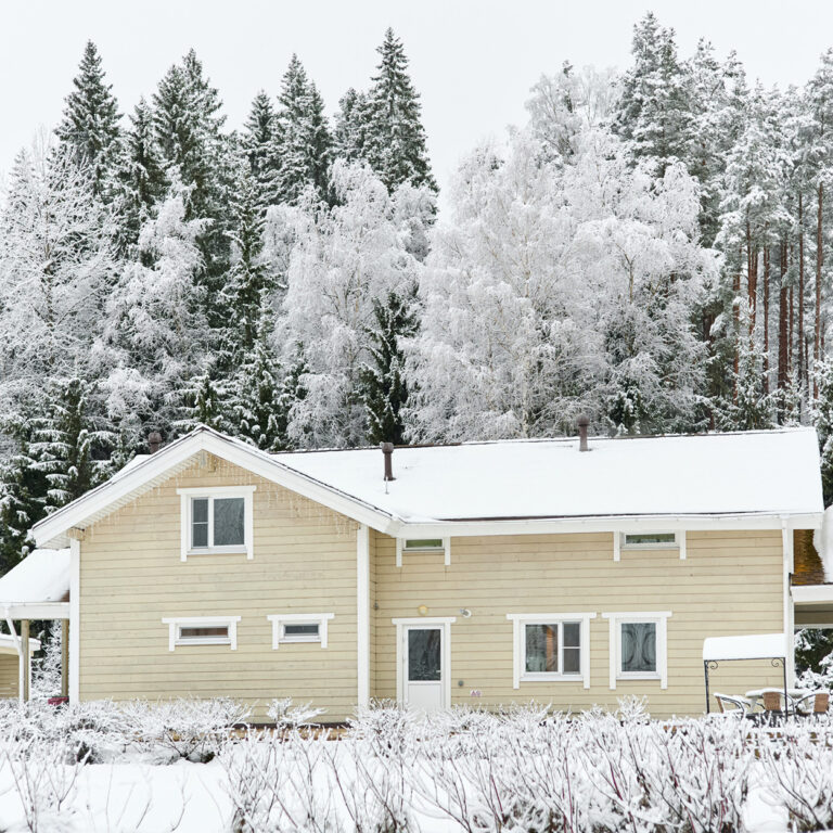 beautiful country house in a snowy pine forest, night lighting, winter fairy tale