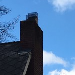 HY-C Raccoon Screens installed on chimney flues.