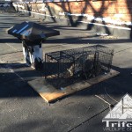 Roof vent that served as an entry point for this raccoon.