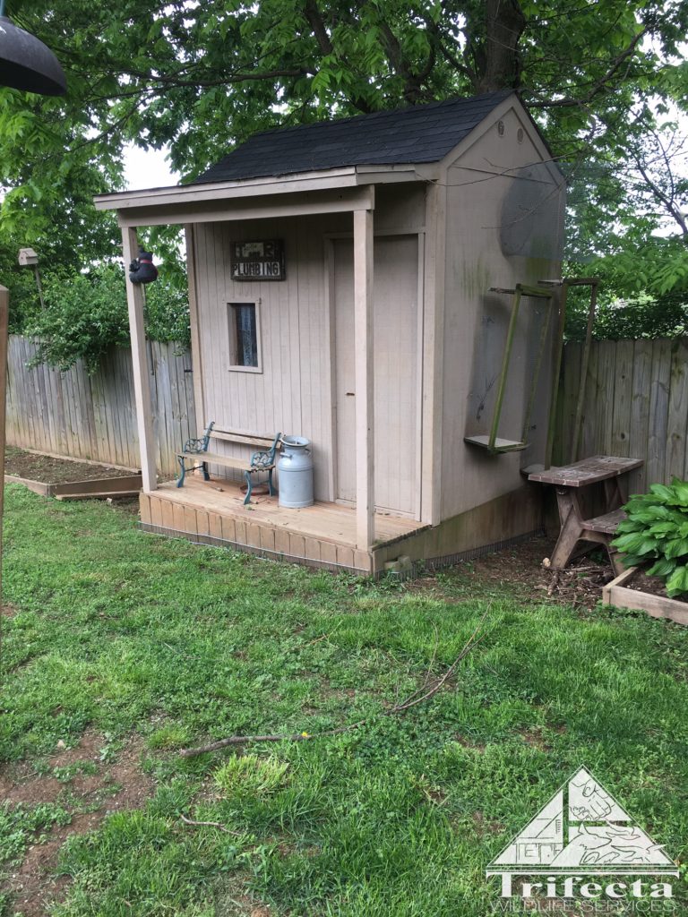 Finished install of Dig Defence around a shed