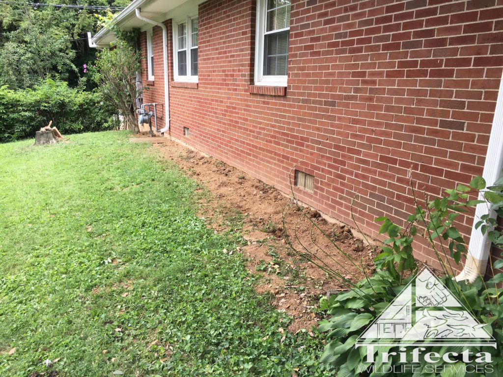 A completed traditional dig barrier install