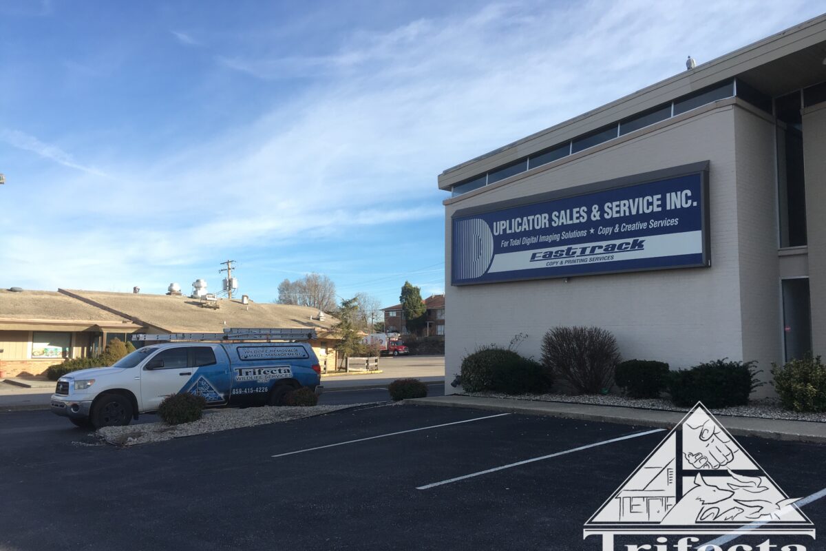 Wide angle view of a completed sign ledge protection system