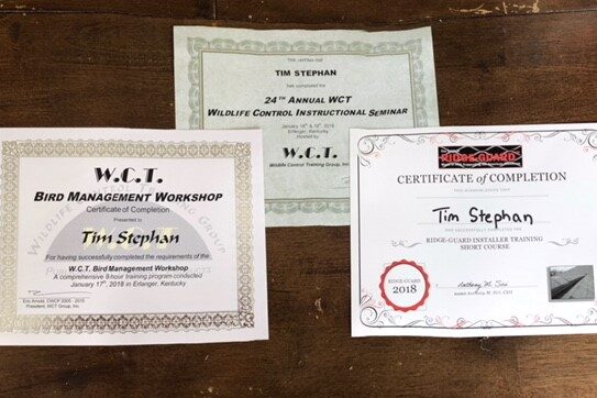 Tim Stephan's 2018 WCT Certificates