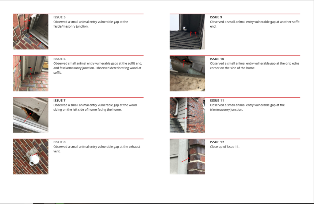 Example page of a Trifecta Wildlife Inspection Report