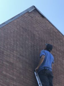 Image of Tim of Team Trifecta Inspecting a Structural Bat Entry