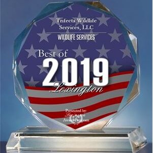 2019 Best of Lexington Award Trifecta Wildlife Services Trifecta Wildlife received 2019 Best of Lexington award
