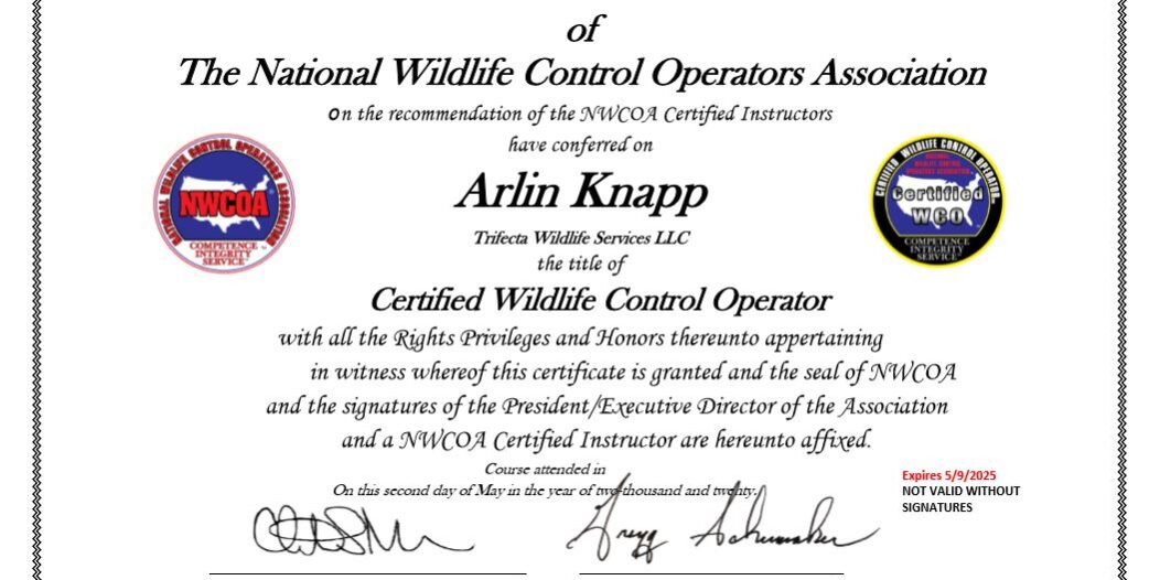Certified Wildlife Control Operator NWCOA Certificate Arlin Knapp Trifecta Wildlife Services Arlin Knapp Certified Wildlife Control Operator Certificate NWCOA