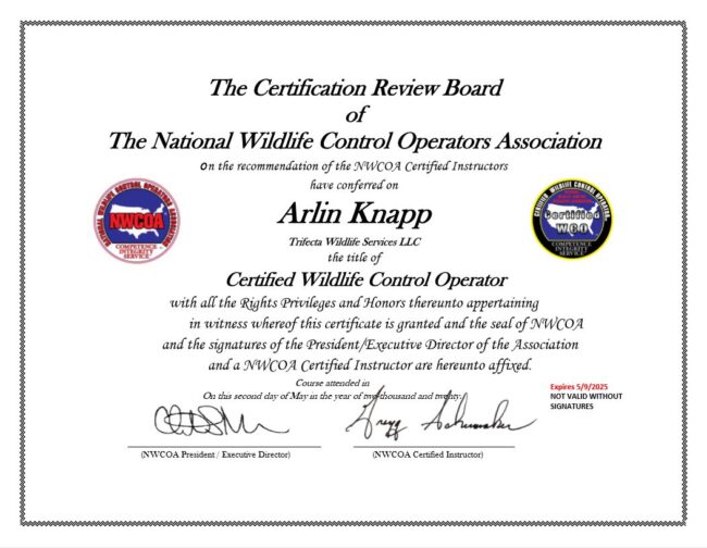 Certified Wildlife Control Operator NWCOA Certificate Arlin Knapp Trifecta Wildlife Services Arlin Knapp Certified Wildlife Control Operator Certificate NWCOA