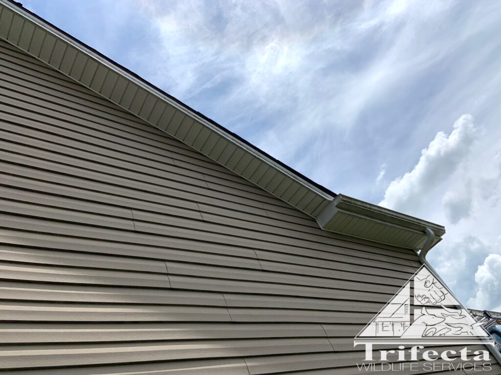 Fully repaired soffit, no more birds, like it never happened!