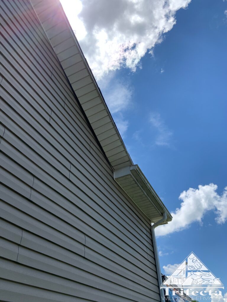 Before picture of the problem soffit showing the warp and subsequent pulling of the vinyl