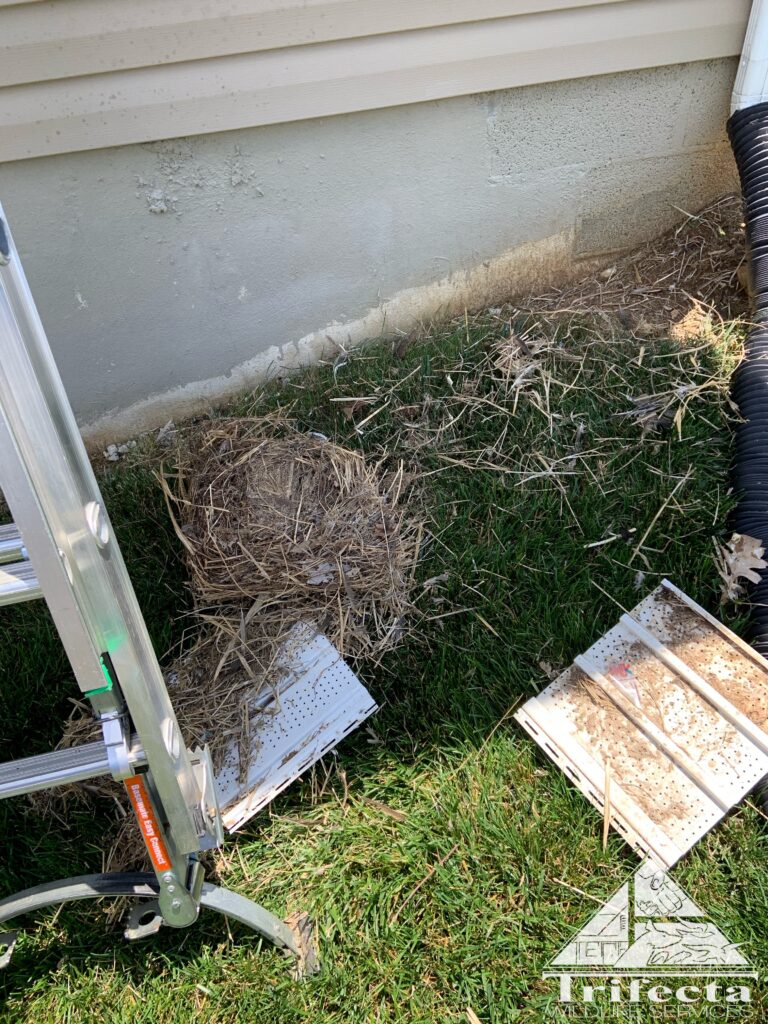 A view of the bird nesting debris that Team Trifecta removed from the soffit