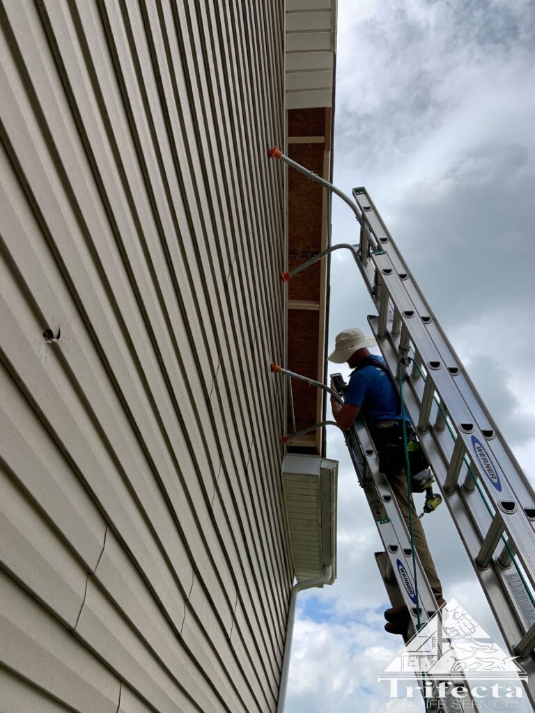 Tim installing the new fascia board