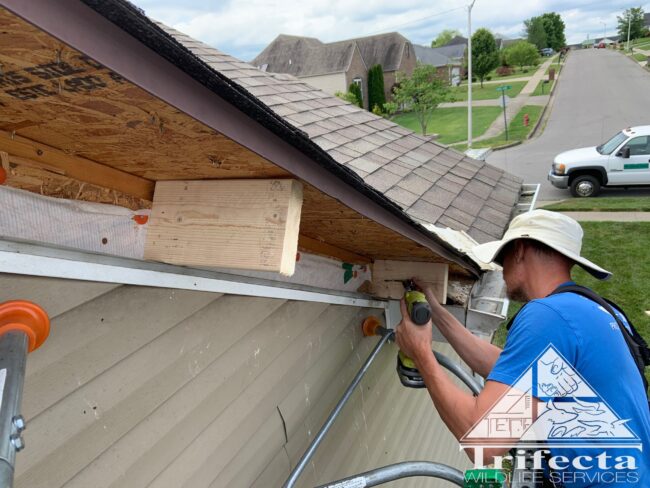 Tim Installing Soffit Bracing Tim installing cross braces for the new fascia board to secure to