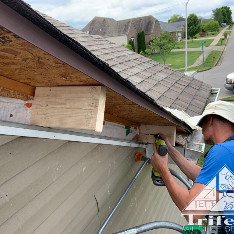 Tim Installing Soffit Bracing Tim installing cross braces for the new fascia board to secure to