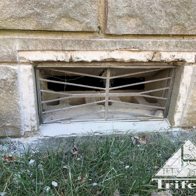 Foundation Vent on a Bedford Stone House With Stone Chiseled Out In Preparation For FVG Install Bedford stone home foundation vent during vent guard installation process