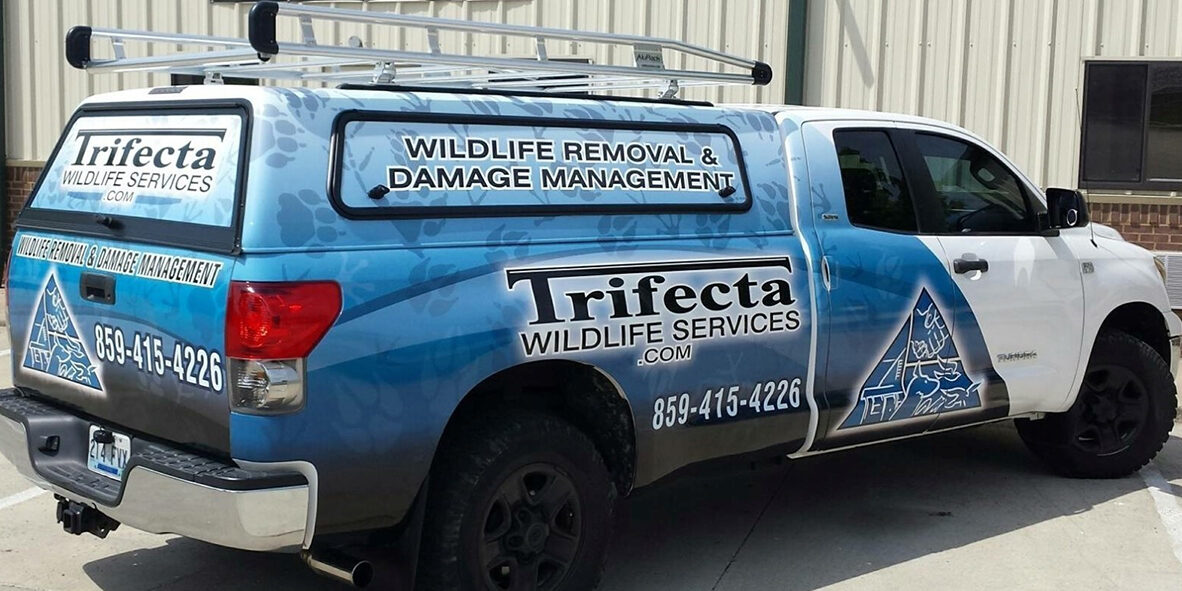 Trifecta Wildlife 2007 Tundra Pic