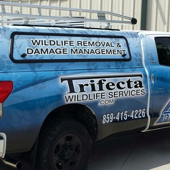 Trifecta Wildlife 2007 Tundra Pic