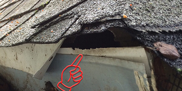 roof_sm