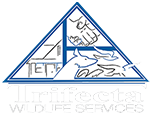 Trifecta Wildlife Services