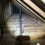 Attic Emptied of Animal Droppings and Damaged Insulation