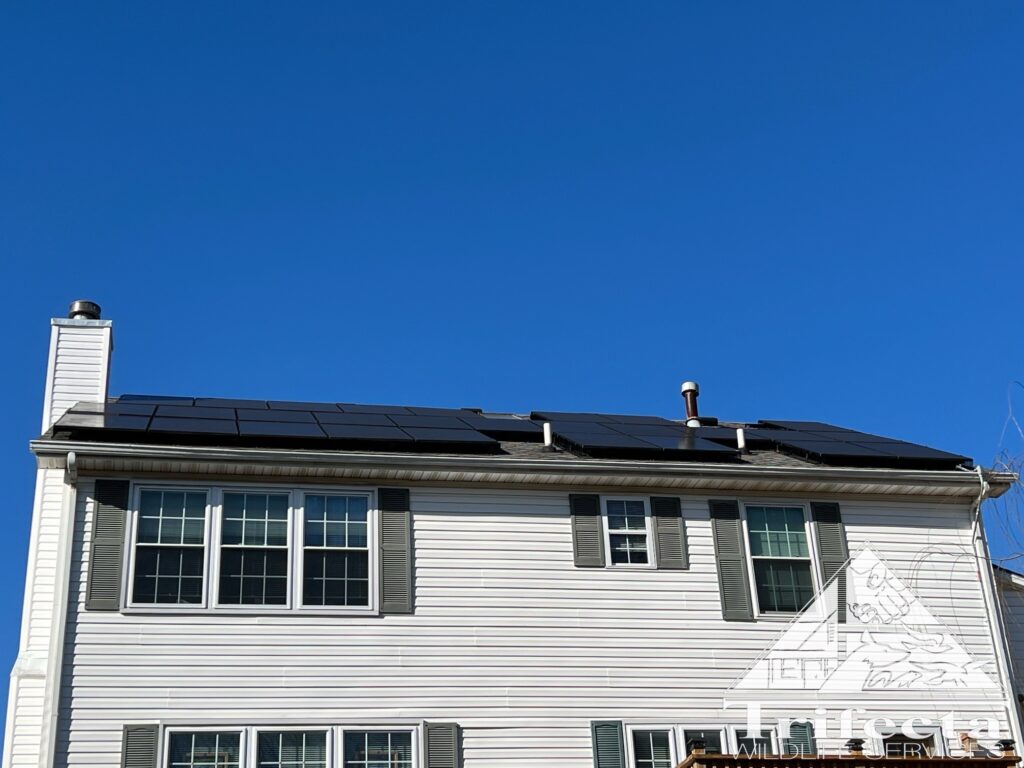 Wide view of solar array on Lexington KY home