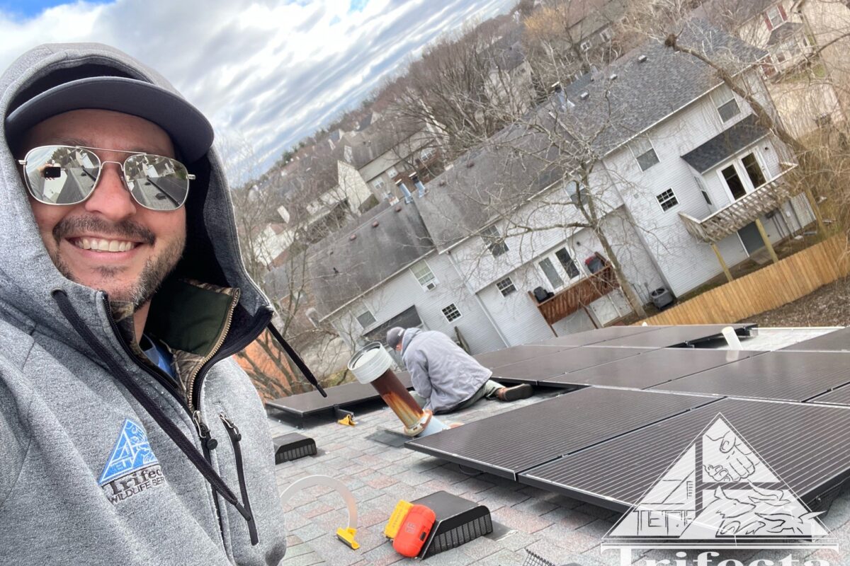 Team Trifecta working on solar panel wildlife exclusion
