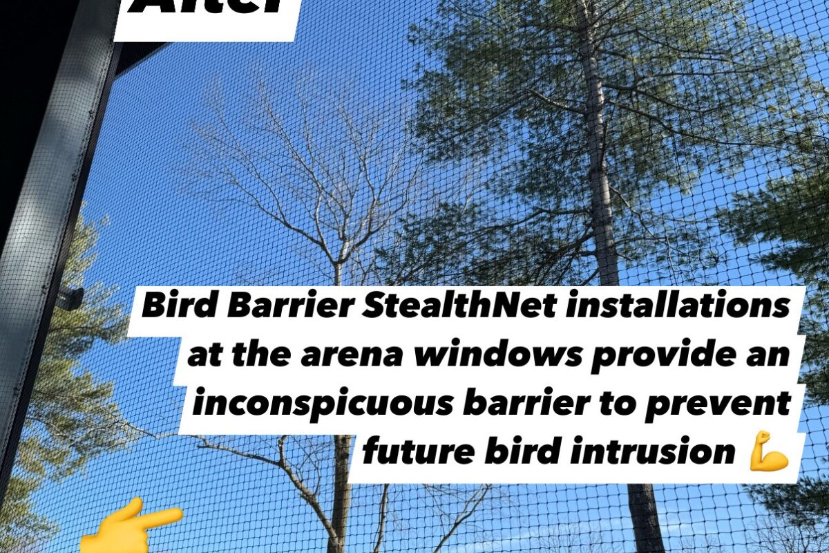A finished bird net, StealthNet by Bird Barrier, with the horse arena window open.