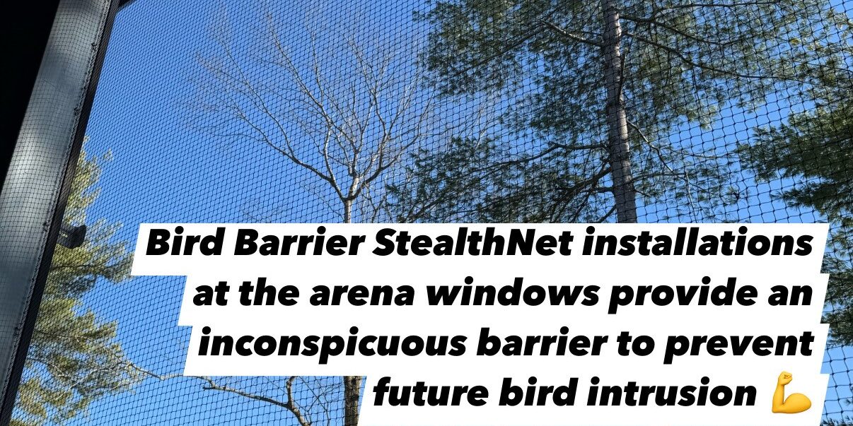 3 A finished bird net, StealthNet by Bird Barrier, with the horse arena window open.