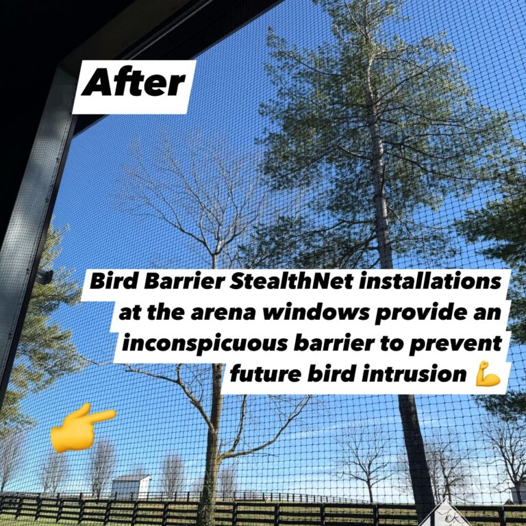 3 A finished bird net, StealthNet by Bird Barrier, with the horse arena window open.