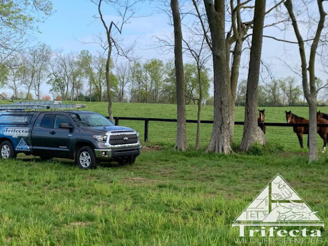 Trifecta Wildlife on a Lexington KY horse farm Trifecta Wildlife Services truck parked along some horses on a Lexington KY farm.